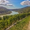 View on the Danube river from the hills surrounding the village of Spitz, Wachau