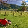 Woman relaxes in red deckchair in a vineyard overlooking the Danube in Dürntein, Wachau valley
