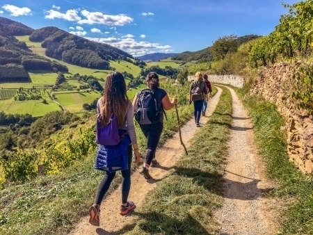 Group of female hikers enjoying the views on the Wachau World Heritage Trail