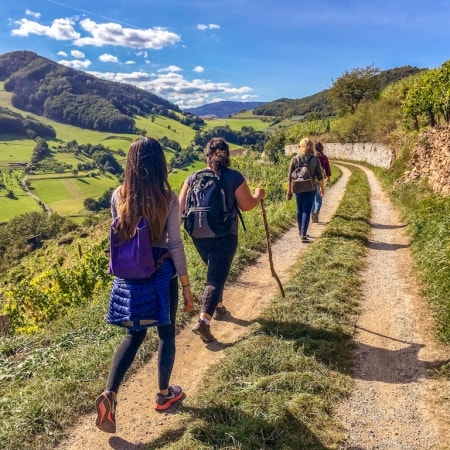 Group of female hikers enjoying the views on the Wachau World Heritage Trail