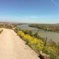 Panoramic trail overlooking the Danube river