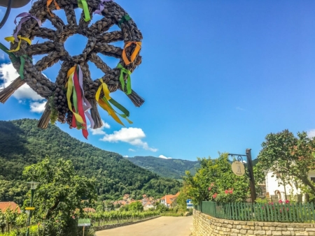 Wachau Vineyard Walk