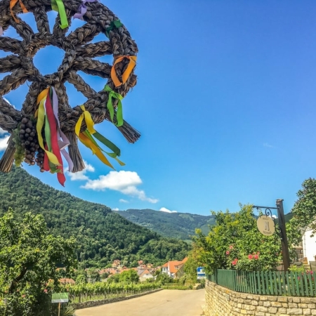 Wachau Vineyard Walk